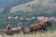 Čeští krajané v Rumunsku jedou na pole
